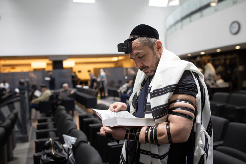 Золотая Роза. Синагога в Меноре.